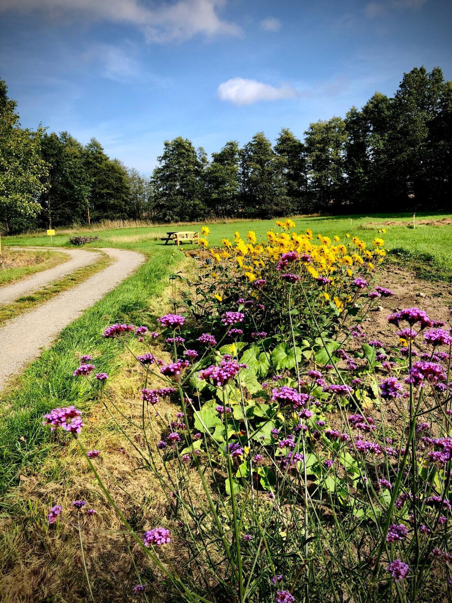 Marsbaecken Hostel Västervik Екстериор снимка